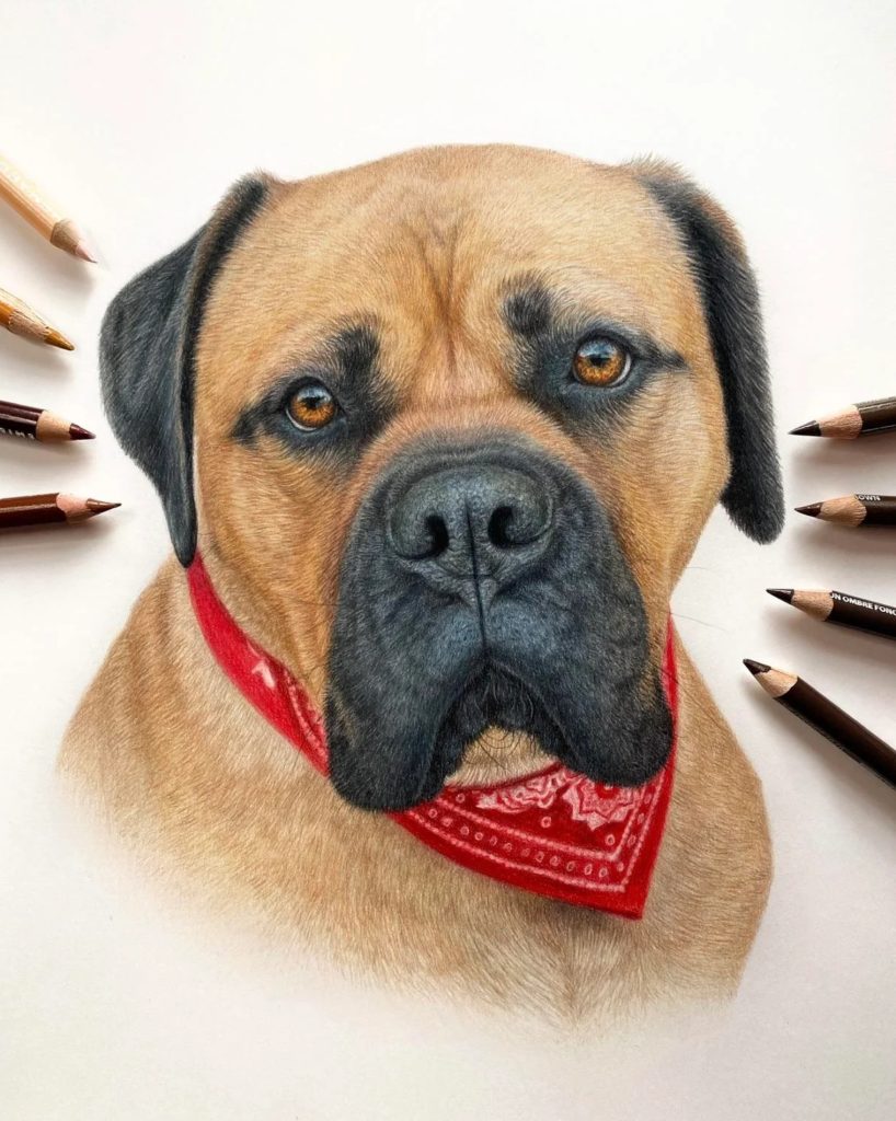 How To Draw Faces With Katie, one of her dog portraits